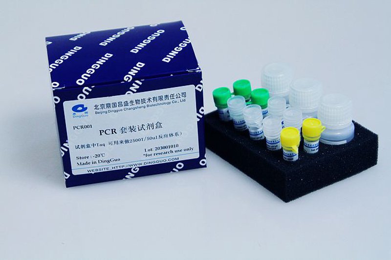 抗体定制:从零开始的生物医学之旅