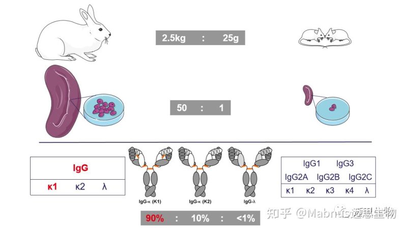 如何选择最适合的生物试剂?