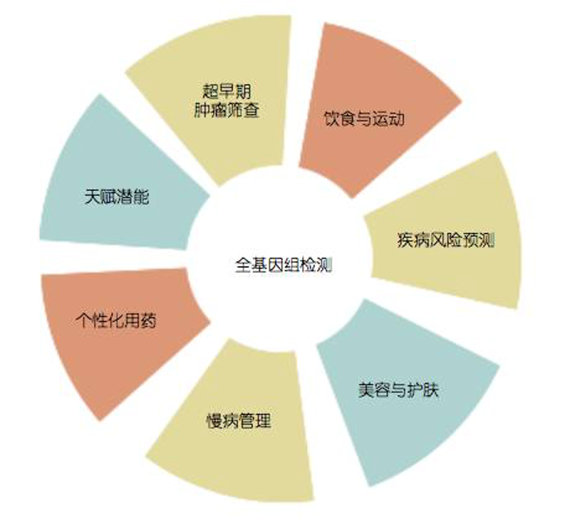 细胞培养:揭开生命科学研究的神秘面纱