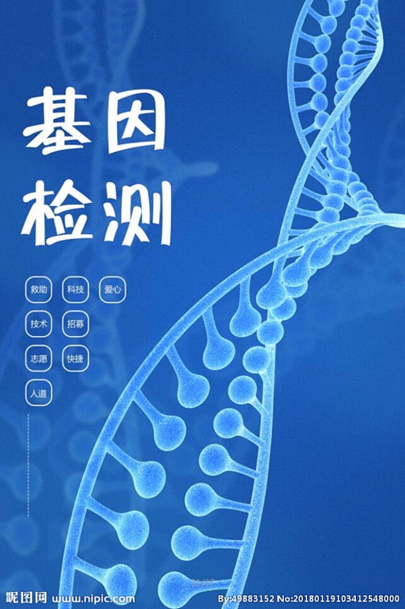 抗体定制：探索生命科学的奥秘